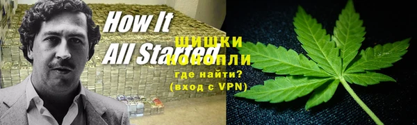Альфа ПВП Няндома