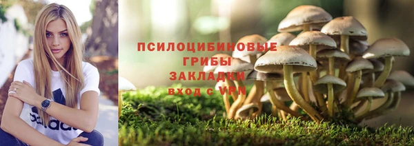 стаф Баксан