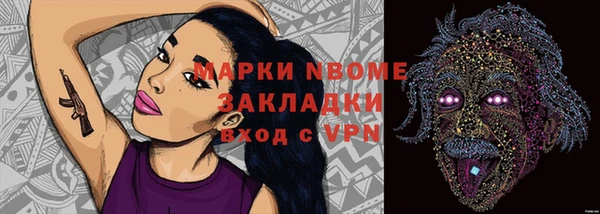 Альфа ПВП Няндома
